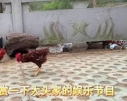 赛季初表现
